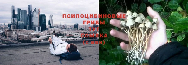 таблы Медногорск