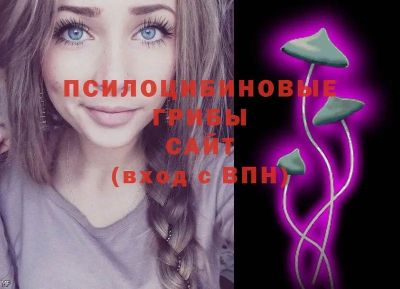 Галлюциногенные грибы Magic Shrooms  купить наркотики сайты  Знаменск 