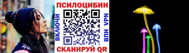 Псилоцибиновые грибы мицелий  закладки  Знаменск 