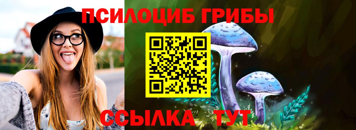 Псилоцибиновые грибы Cubensis Знаменск