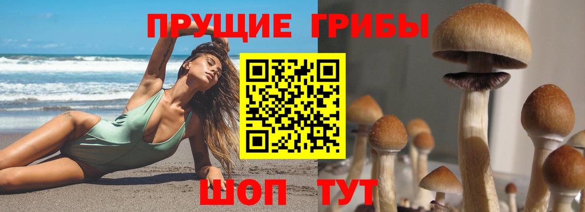 Знаменск  Галлюциногенные грибы Magic Shrooms  Вход с VPN 